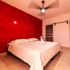 ** Hotel Caribe Express México
